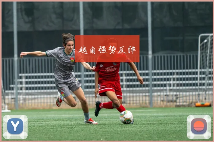 越南强势反弹