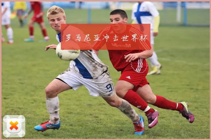 罗马尼亚冲击世界杯