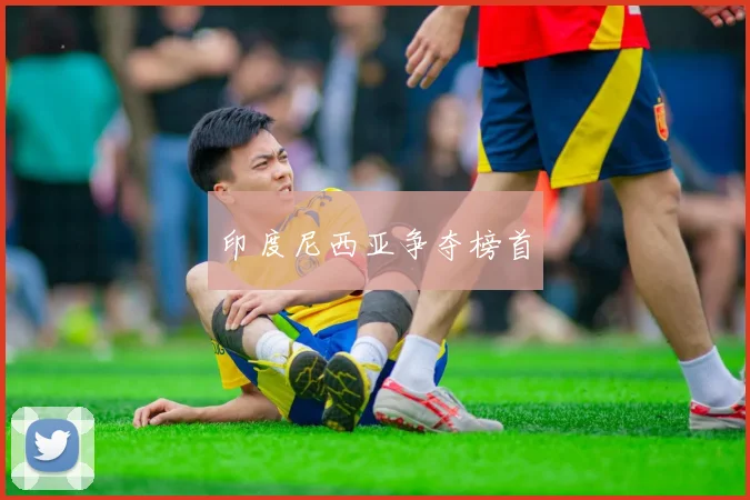 印度尼西亚争夺榜首