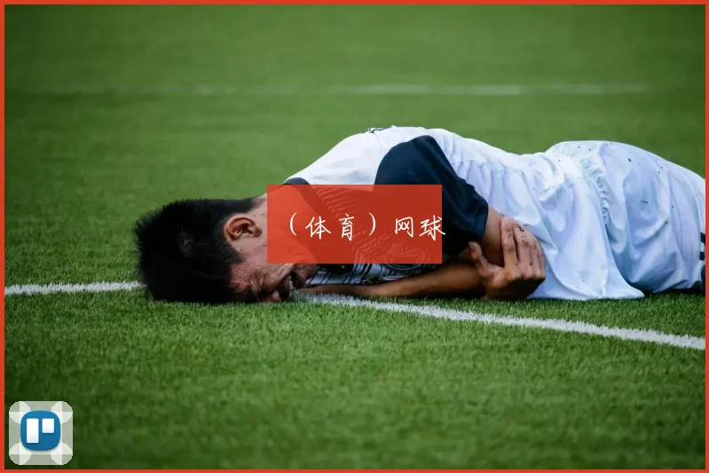 （体育）网球