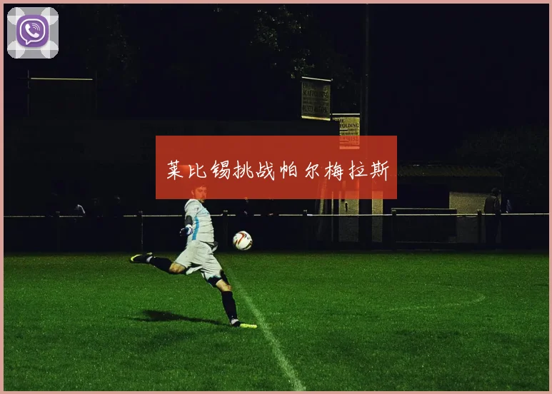 莱比锡挑战帕尔梅拉斯