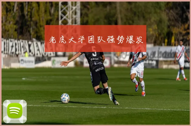 老虎大学团队强势爆发