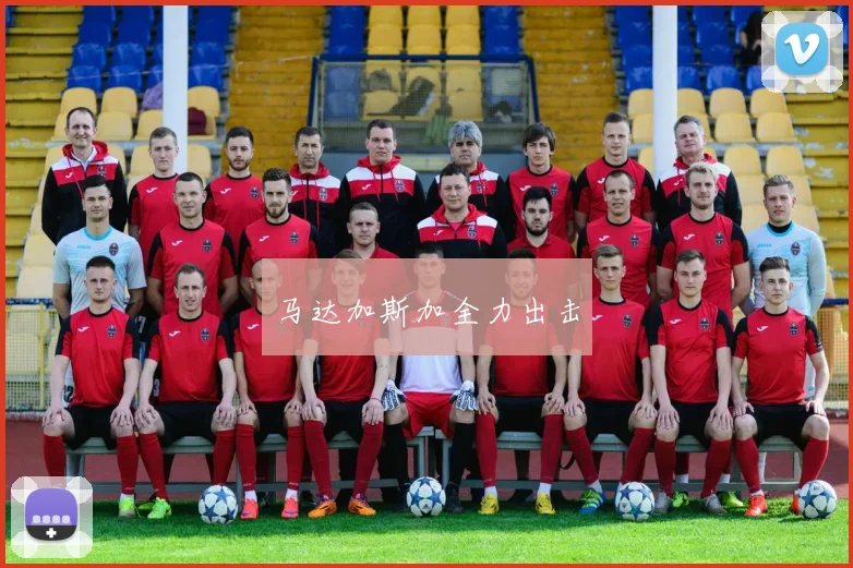 马达加斯加全力出击