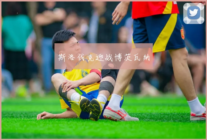 斯洛伐克迎战博茨瓦纳