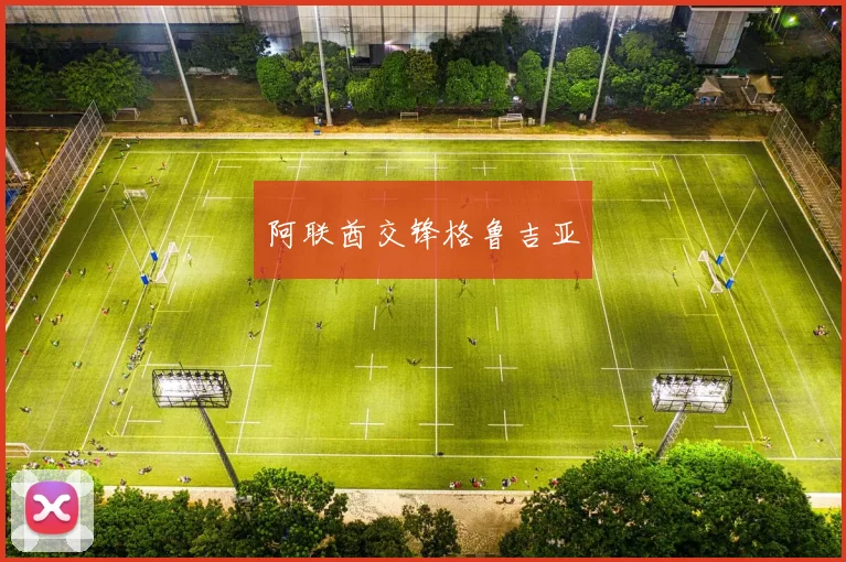阿联酋交锋格鲁吉亚
