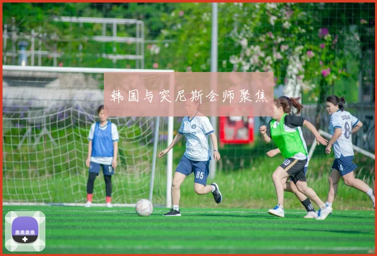 韩国与突尼斯会师聚焦