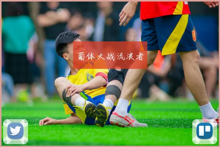 葡体大战流浪者