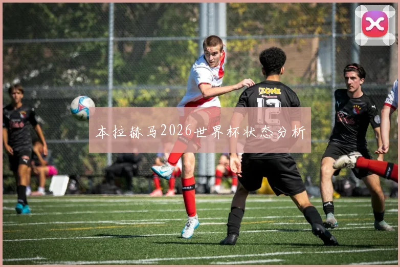 本拉赫马2026世界杯状态分析