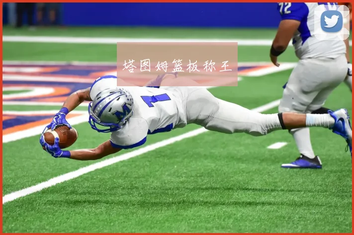 塔图姆篮板称王