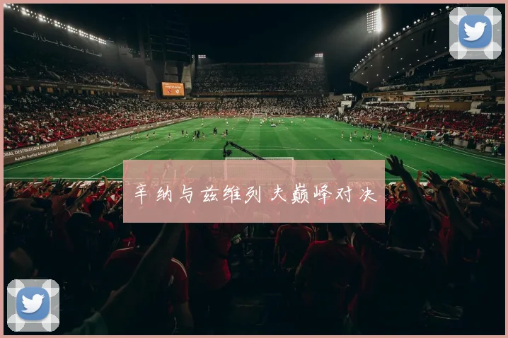 辛纳与兹维列夫巅峰对决