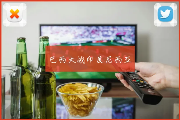巴西大战印度尼西亚