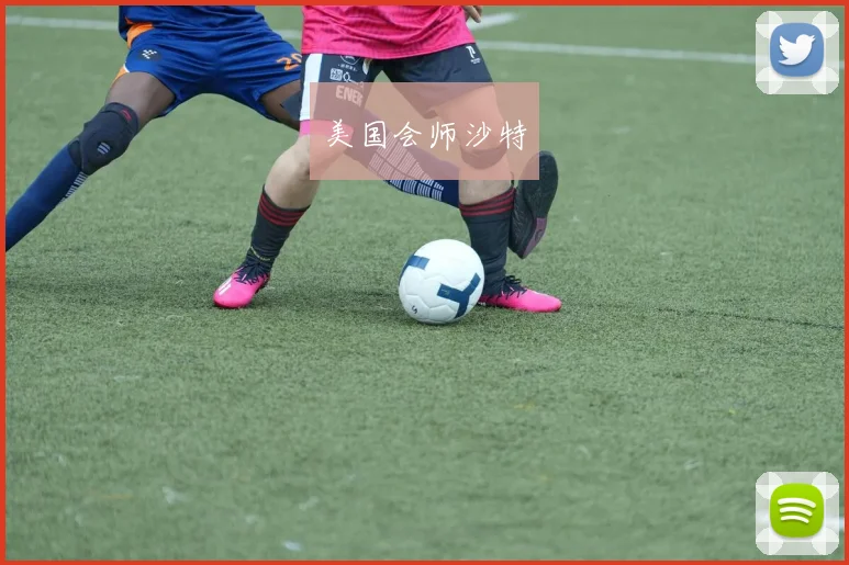 美国会师沙特