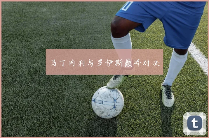 马丁内利与罗伊斯巅峰对决