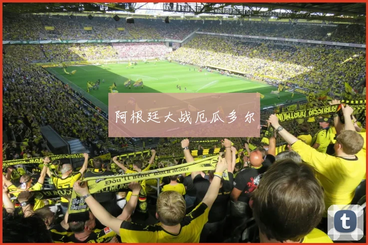 阿根廷大战厄瓜多尔