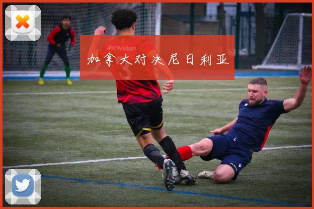加拿大对决尼日利亚