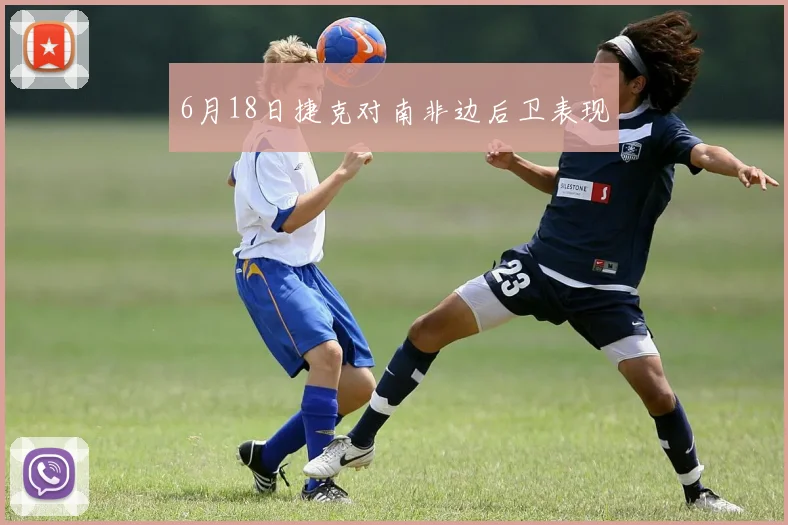 6月18日捷克对南非边后卫表现