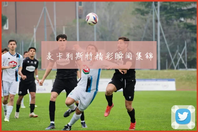 麦卡利斯特精彩瞬间集锦
