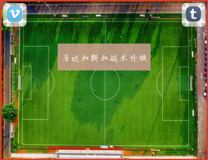 马达加斯加战术升级