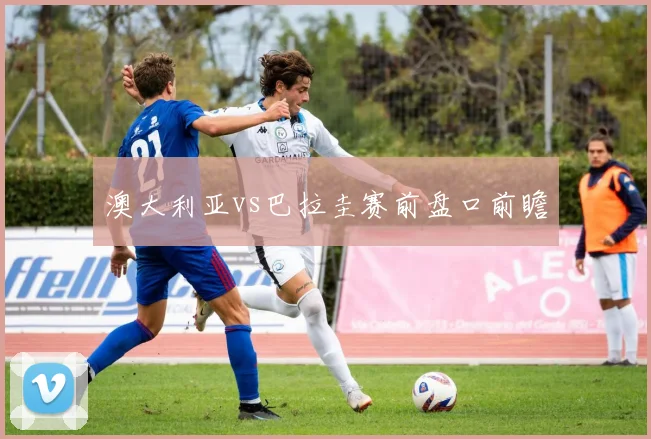 澳大利亚vs巴拉圭赛前盘口前瞻