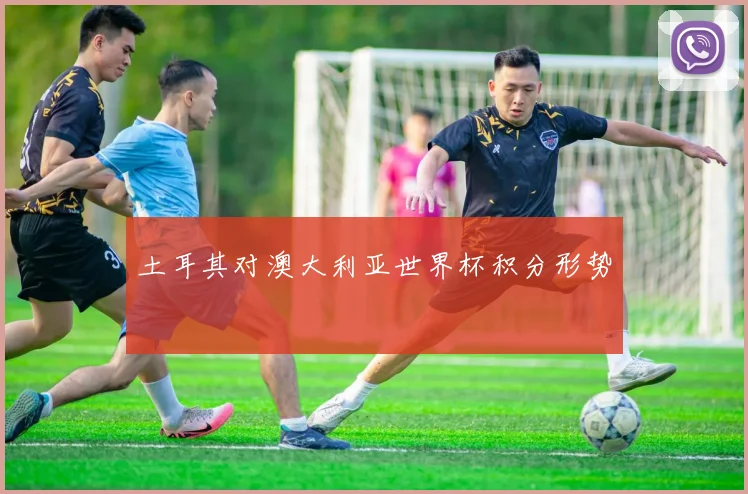 土耳其对澳大利亚世界杯积分形势
