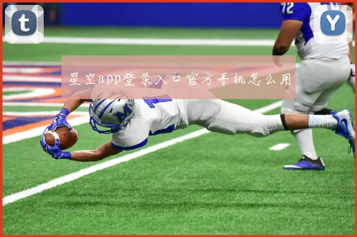 星空app登录入口官方手机怎么用